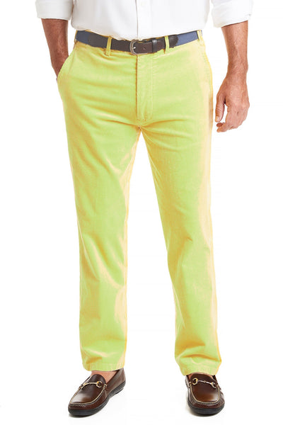 Gold Color Pants for Men | Concitor Collection Trouser